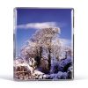 Shanachie Celtic New Age CD Irish Folk Music Album 2000 Release-0